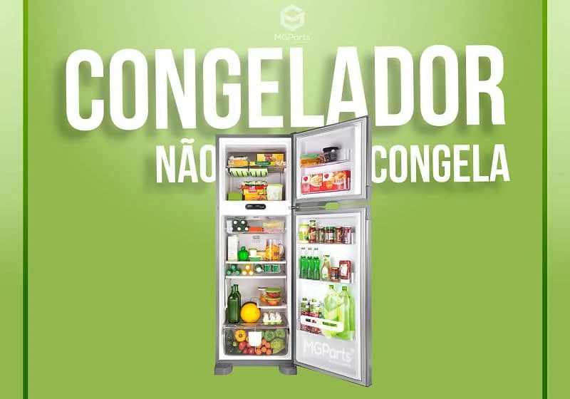 geladeira cheia